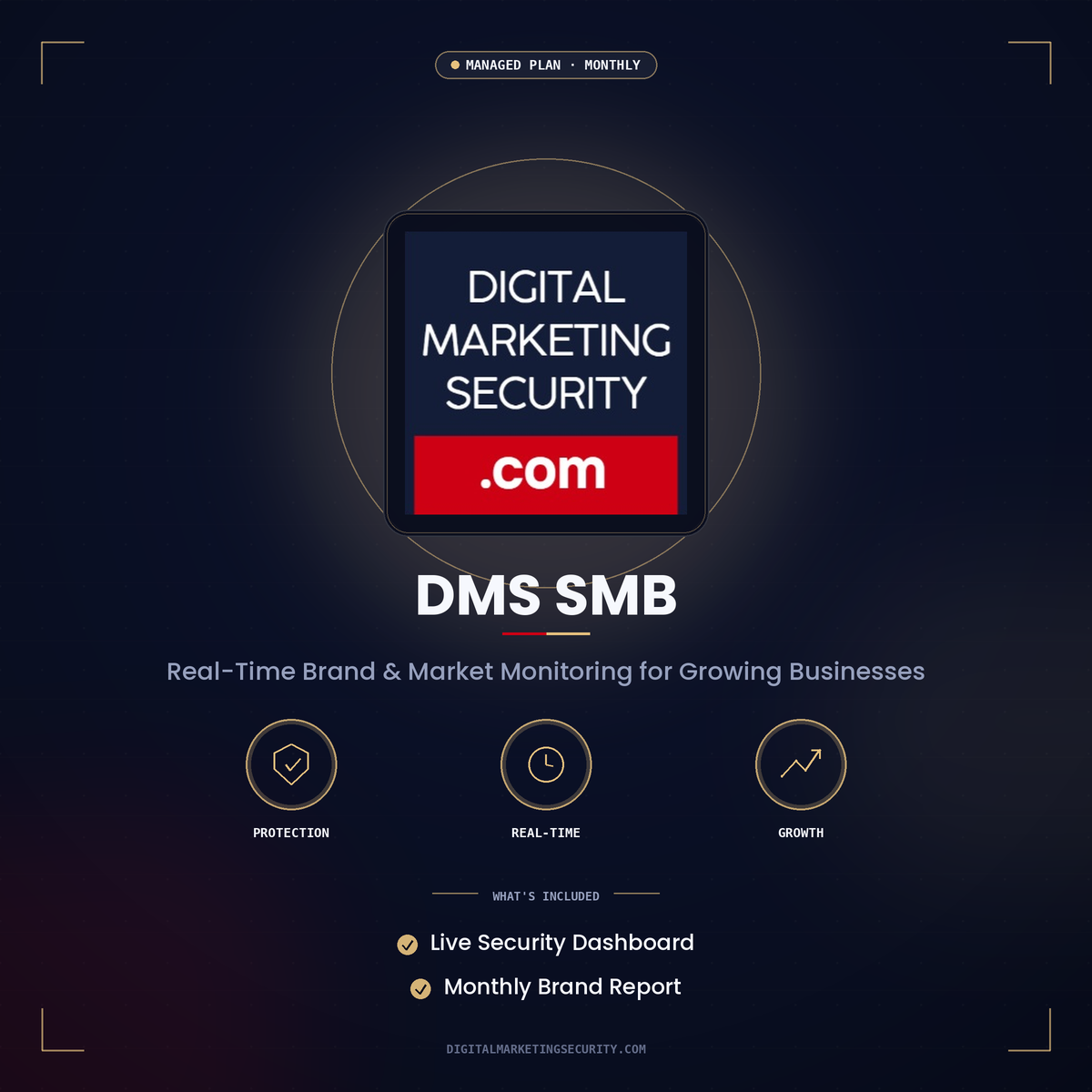 Digital Marketing Security - Digital Marketing Security for small and mid size company